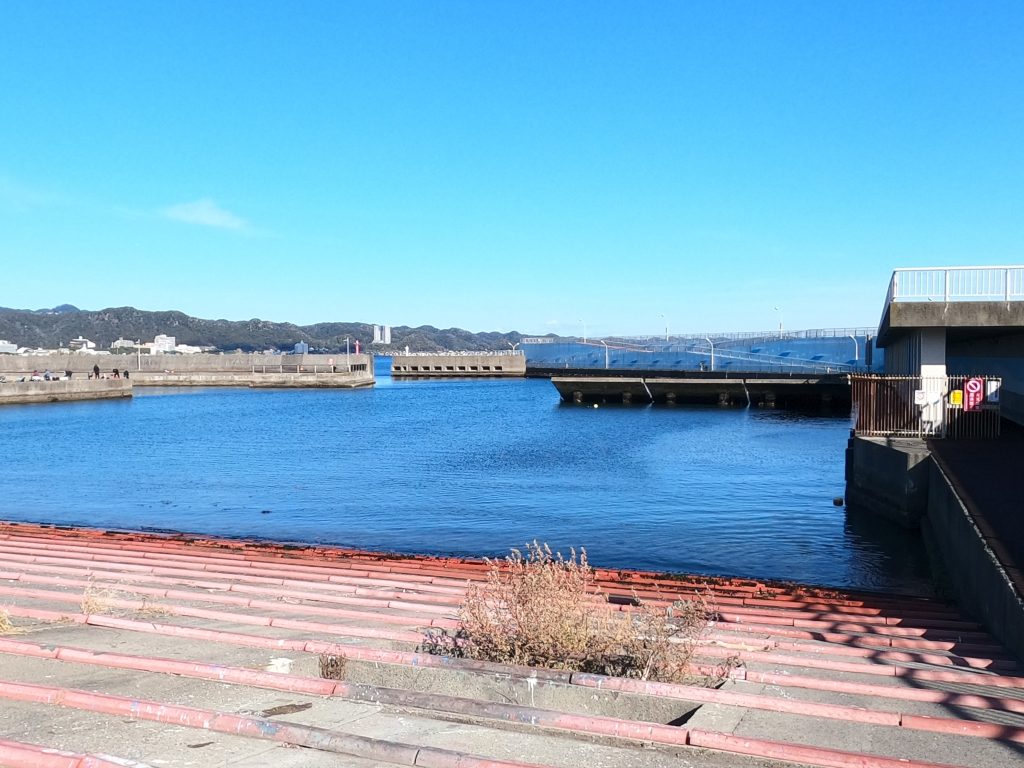 釣果一覧】金沢水際線緑地（福浦岸壁）で釣れたイシモチ