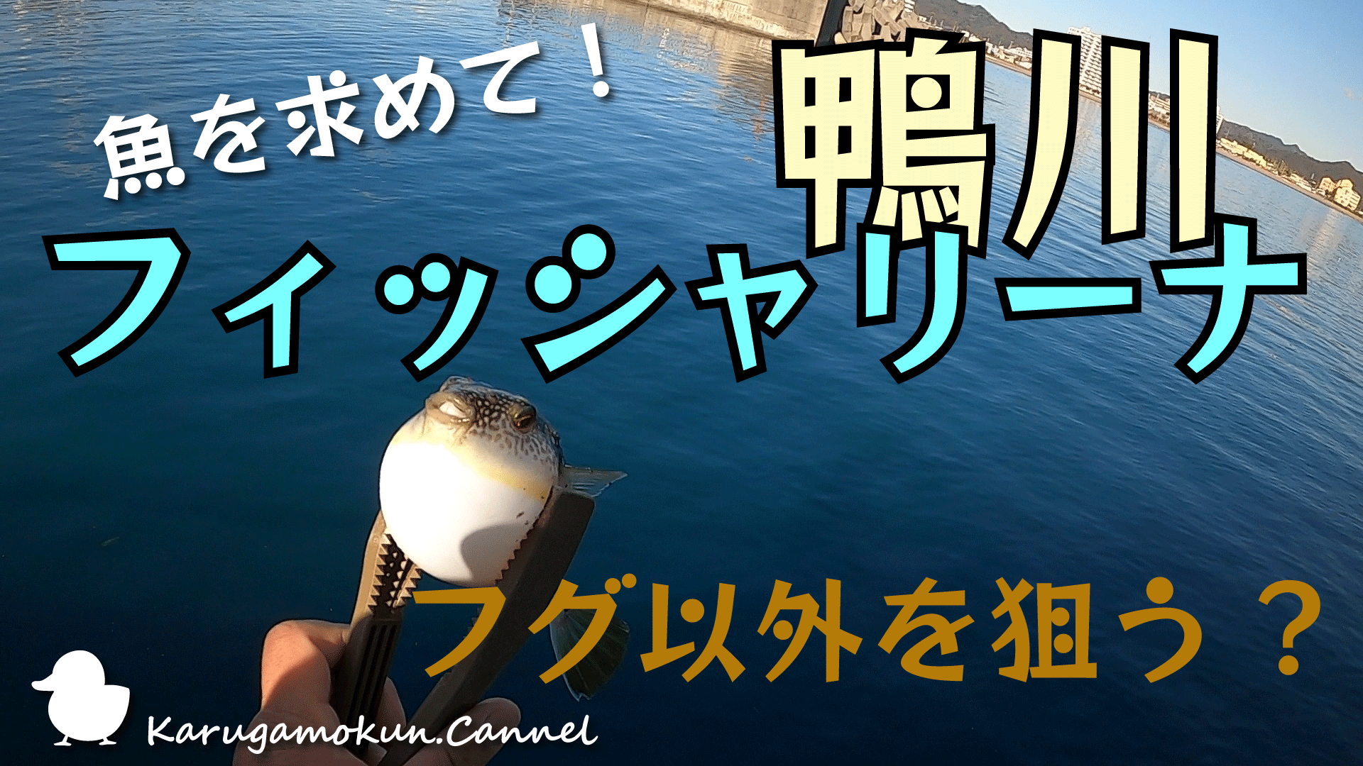 釣果一覧】金沢水際線緑地（福浦岸壁）で釣れたイシモチ